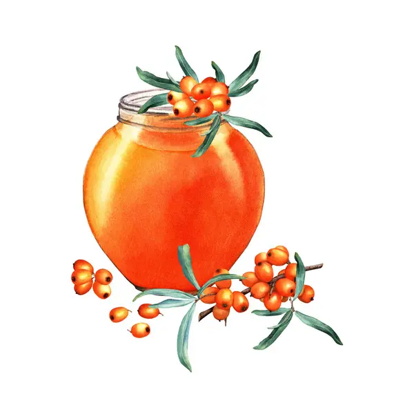 Watercolor composition with glass jar sea buckthorn jam. Hand drawn food illustration isolated on white background. For clip art, cards, menu, label, package
