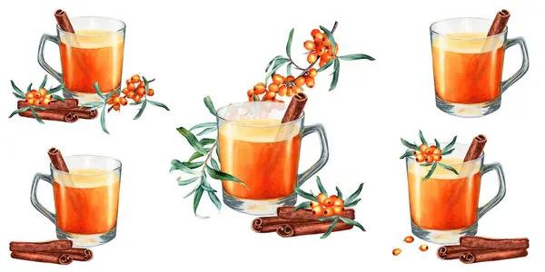 A set of sea buckthorn cups of tee, rolled strips of cinnamon and branches with berries. Hand drawn watercolor food illustration isolated on white background. For clip art, cards, menu, label, package