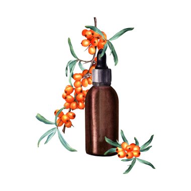 Deniz dikenli dallı bileşim ve damlatıcılı kahverengi cam şişe kozmetik yağı, serum, ilaç için pipet. El çizimi suluboya çizimi beyaza izole edilmiş. Clipart, şablon, etiket için