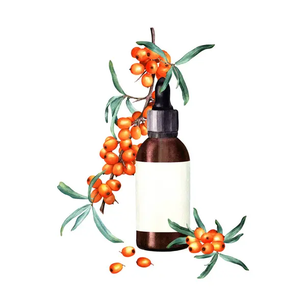Composition with sea buckthorn branch and brown glass bottle with white label for cosmetic oil, serum, medicine. Hand drawn watercolor illustration isolated on white. For clip art, template, label