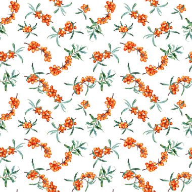 Şifalı bitkisel deniz dikenli dikişsiz suluboya deseni. Kaplama, duvar kağıdı, kumaş ve tekstil için izole edilmiş arkaplanda elle çizilmiş resimler