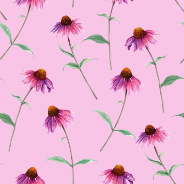 Bitki çiçekli suluboya desen Coneflower, Echinacea. El çizimi botanik çizimi. Tekstil, kumaş, ambalaj, duvar kağıdı için.