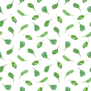Suluboya tekrarlanıyor, yapraklı yeşil çiçekli ıspanak desenli. - Evet. Klip sanatı, menü, etiket, paket için el çizimi illüstrasyon