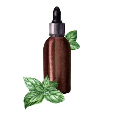 Fesleğen dalı ve kahverengi cam şişeyle kompozisyon. Düşürücü, temel, kozmetik yağ için pipet. El çizimi suluboya çizimi beyaza izole edilmiş. Klip sanatı, şablon, etiket için