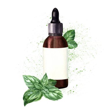 Sıçratmalı kompozisyon, fesleğen dalı, damlatıcılı kahverengi cam şişe ve gerekli kozmetik yağ etiketi. El çizimi suluboya çizimi beyaza izole edilmiş. Klip sanatı, şablon, etiket için