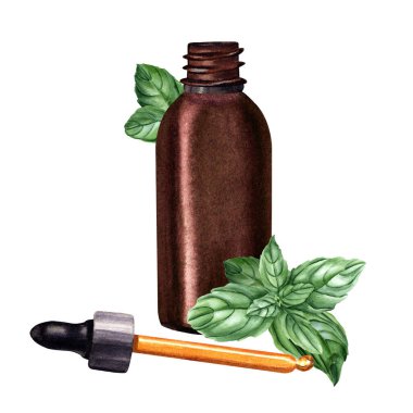 Fesleğen dallı kompozisyon ve damlatıcılı kahverengi cam şişe, temel kozmetik yağı için pipet. El çizimi suluboya çizimi beyaza izole edilmiş. Klip sanatı, şablon, etiket için