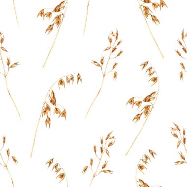 Yulaf bitkileriyle sulu boya deseni, yenilebilir nişasta taneleri, evcilleştirilmiş mısır gevreği. El çizimi illüstrasyon beyaz arkaplanda ambalaj, duvar kağıdı, kumaş, tekstil için izole edildi.