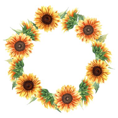 Sarı ayçiçekleri ve canlı bitkilerle suluboya çelenk şablonu. El çizimi botanik çizimi beyaz arka planda izole edilmiş. Tebrik kartı, davetiye, klip sanatı, çıkartma