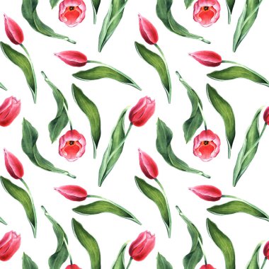 Pembe laleler, çiçekler ve tomurcuklarla kusursuz, tekrarlanan desenler. El çizimi botanik suluboya çizimi. Sarma, duvar kağıdı, kumaş, tekstil için.