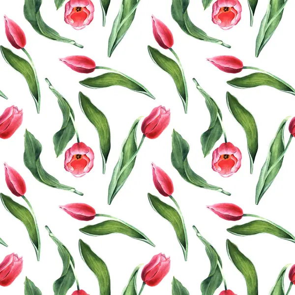 Pembe laleler, çiçekler ve tomurcuklarla kusursuz, tekrarlanan desenler. El çizimi botanik suluboya çizimi. Sarma, duvar kağıdı, kumaş, tekstil için.