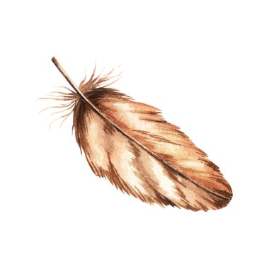 Kahverengi kuş tüyü, tüy, tüy. Paskalya süsü. Beyaz arka planda elle çizilmiş suluboya çizimi. Klip sanatı tebrik kartları için davet etiket paketi
