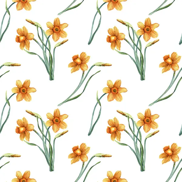 Kusursuz, sarı nergis ve narsisli çiçeklerle aynı deseni tekrarla. El çizimi botanik suluboya çizimi. Sarma, duvar kağıdı, kumaş, tekstil için.