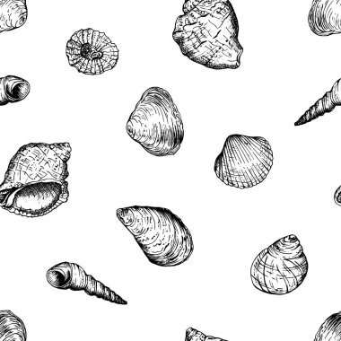 Kusursuz desenli, el yapımı, siyah beyaz deniz kabukları. Robot resim şeklinde elle çizilmiş vektör çizimi. Tekstil, kumaş, duvar kâğıtları veya okyanus esinlenilmiş tasarım temaları için mükemmel.