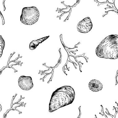 Değişik deniz kabukları ve mercan dalları olan siyah ve beyaz denizci deseni. El çizimi vektör çizimi. Sahil temalı tasarımlar, kumaşlar veya deniz dekorasyonları için ideal.