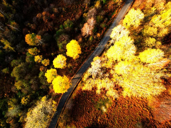 Sonbahar güneşli güzel bir gün.