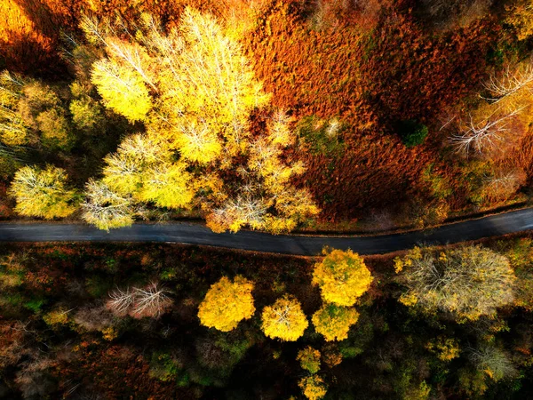 Sonbahar güneşli güzel bir gün.