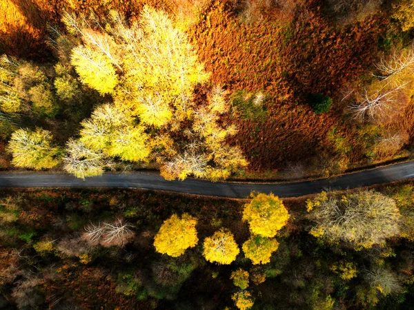 Sonbahar güneşli güzel bir gün.