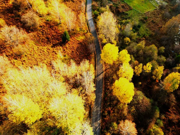 Sonbahar güneşli güzel bir gün.