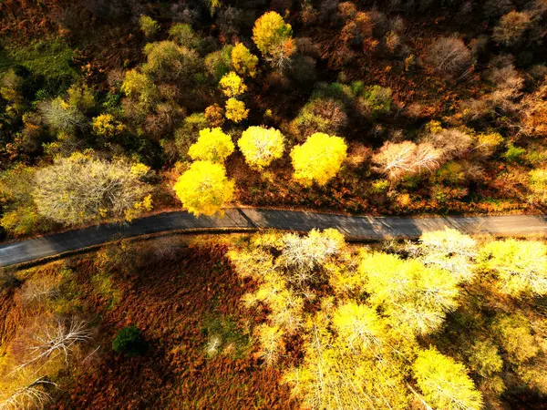 Sonbahar güneşli güzel bir gün.