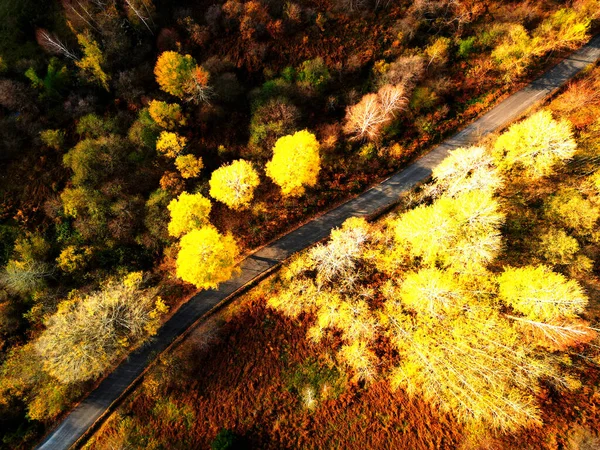 Sonbahar güneşli güzel bir gün.