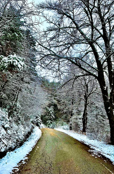 Hermoso Otoño Invierno Día Hacia Fuera Vista Montaña Frome Por — Foto de Stock