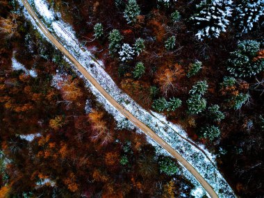 Elevated Serenity: A Breathtaking Aerial View of Winter's Tranquil Beauty, Capturing the Snow-Covered Forest and Majestic Mountains on a Crisp White Day