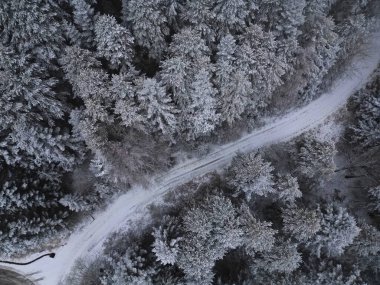 Ormanın üstündeki hava aracı gökyüzünde güzel sonbahar kışı yaklaşıyor.