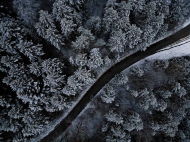 Elevated Serenity: A Breathtaking Aerial View of Winter's Tranquil Beauty, Capturing the Snow-Covered Forest and Majestic Mountains on a Crisp White Day