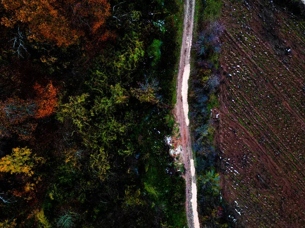 Elevated Serenity: A Breathtaking Aerial View of Winter's Tranquil Beauty, Capturing the Snow-Covered Forest and Majestic Mountains on a Crisp White Day