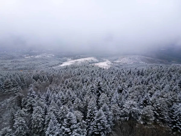 Elevated Serenity Breathtaking Aerial View Winter Tranquil Beauty Capturing Snow — ストック写真