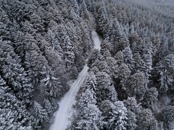 Elevated Serenity Breathtaking Aerial View Winter Tranquil Beauty Capturing Snow — ストック写真