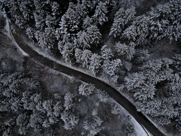 Elevated Serenity: A Breathtaking Aerial View of Winter's Tranquil Beauty, Capturing the Snow-Covered Forest and Majestic Mountains on a Crisp White Day