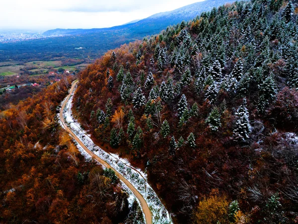 空の森の上の空中ドローンビュー美しい秋の冬が来る — ストック写真