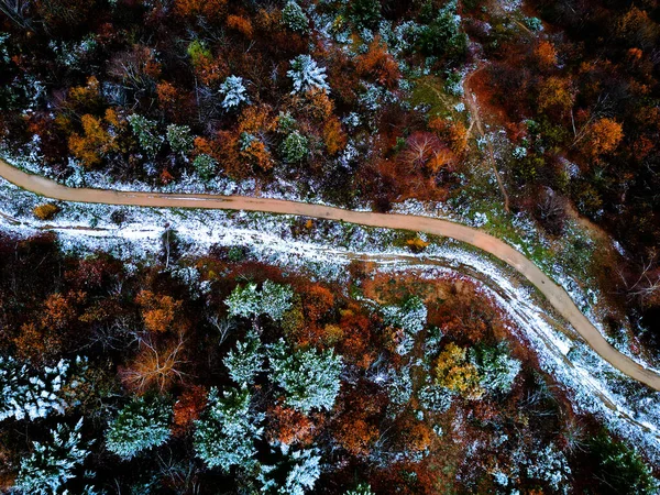 Elevated Serenity: A Breathtaking Aerial View of Winter's Tranquil Beauty, Capturing the Snow-Covered Forest and Majestic Mountains on a Crisp White Day