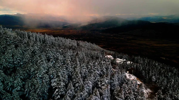 Buz Büyüsü: Kışın Kalbindeki Sakin Karlı Orman