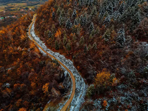 Buz Büyüsü: Kışın Kalbindeki Sakin Karlı Orman