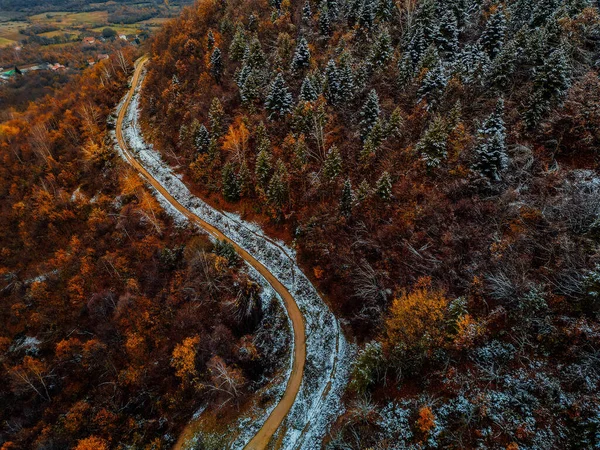 Buz Büyüsü: Kışın Kalbindeki Sakin Karlı Orman