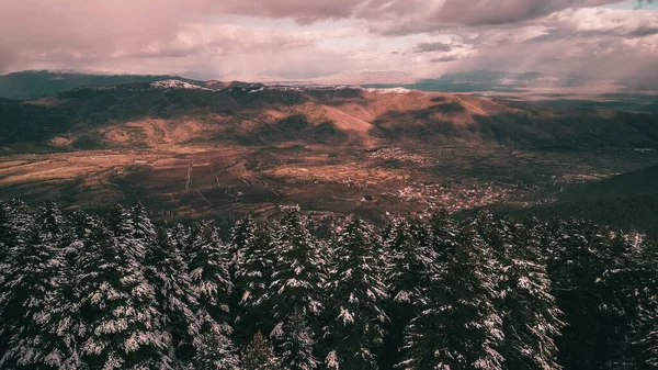 Buz Büyüsü: Kışın Kalbindeki Sakin Karlı Orman