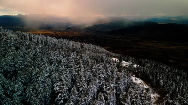 Buz Büyüsü: Kışın Kalbindeki Sakin Karlı Orman