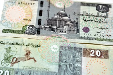 20 LE EGP 20 Mısır Pound para banknotunda Muhammed Ali camii ve bir firavun savaş arabası ve Senusret şapelinden gelen friz beyaz arka planda izole edilmiş, seçici odaklı