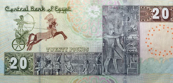 Великий Фрагмент Зворотного Боку Egp Двадцять Єгипетських Фунтів Грошових Банкнот — стокове фото