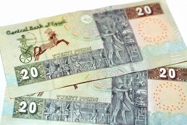 20埃及镑钞票的背面是20埃及镑钞票 系列2022年的特色是一辆法老战争战车 从塞纳斯莱特一世教堂的白色背景中分离出来 有选择性地聚焦 — 图库照片