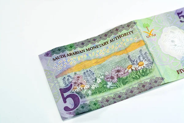 Rückseite Der Neuen Polymer Sar Banknotenserie 1441 2020 Mit Einem — Stockfoto
