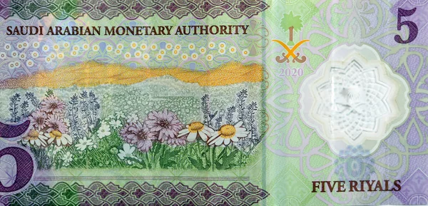 stock image Large fragment of the reverse side of the new polymer 5 SAR five Saudi Arabia riyals cash money banknote bill series 1441 AH 2020 features a field of flowers, selective focus of Saudi money note