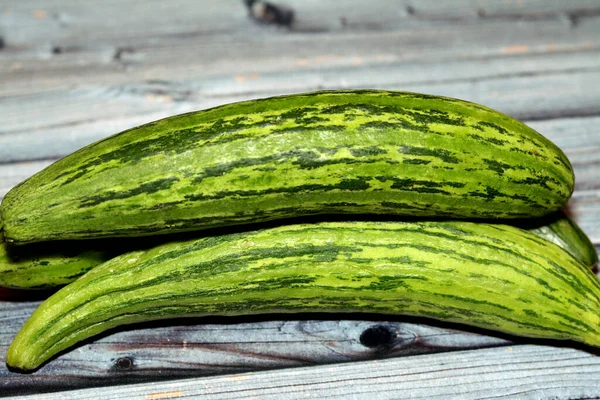 Den Armeniska Gurkan Cucumis Melo Var Flexuosus Typ Lång Smal — Stockfoto