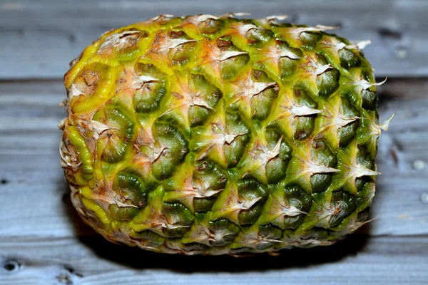 Abacaxi Ananas Comosus Uma Planta Tropical Com Uma Fruta Comestível — Fotografia de Stock
