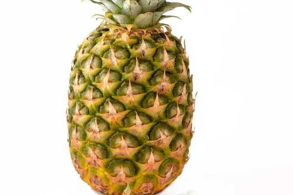 Ananas Comosus Ananas Comosus Tropisk Växt Med Ätlig Frukt Familjen — Stockfoto
