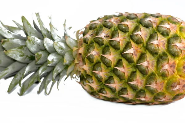 Abacaxi Ananas Comosus Uma Planta Tropical Com Uma Fruta Comestível — Fotografia de Stock