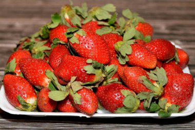 Taze çilek yığını, bahçe çileği Fragaria anananassa cinsinin karakteristik aroması, parlak kırmızı rengi, sulu dokusu ve tatlılığı ile yaygın olarak yetişen bir melez türüdür.