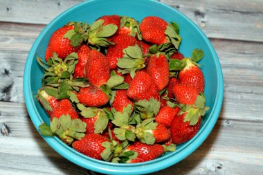 Taze çilek yığını, bahçe çileği Fragaria anananassa cinsinin karakteristik aroması, parlak kırmızı rengi, sulu dokusu ve tatlılığı ile yaygın olarak yetişen bir melez türüdür.